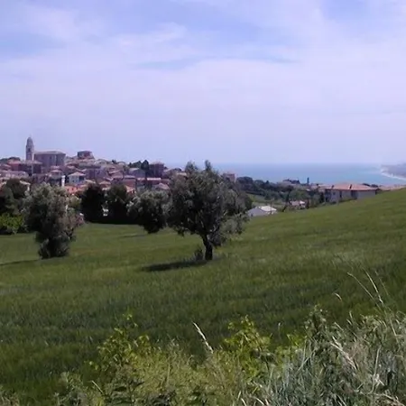 Stella Sirolo