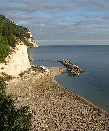 Stella Sirolo